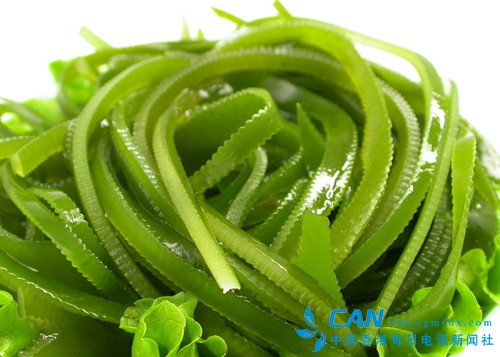 海带：名副其实的长寿菜