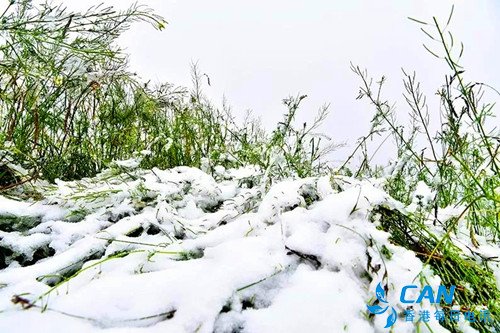 甘肃肃南：迎来九月首场雪