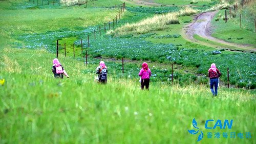 甘肃肃南：播撒牧草，保护草原