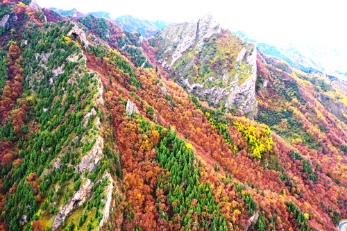 青海海东：北山国家地