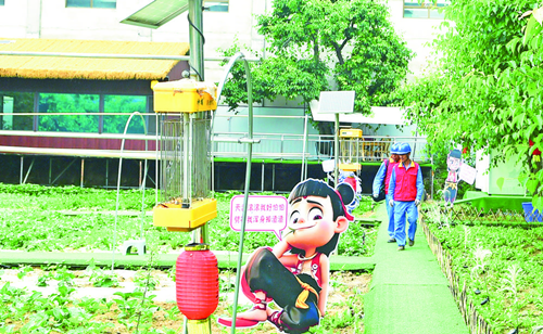 青海海东：城乡统筹现新景 区域协同谱发展华章