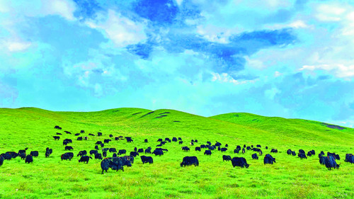 青海省海东市激活发展动能  经济发展多点开花