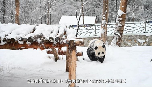 不简单！这个“沟”撑