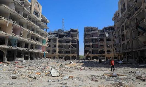 八国外长发表联合声明