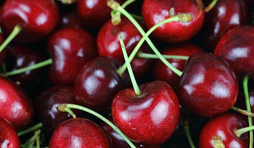 车厘子含褪黑素可助眠