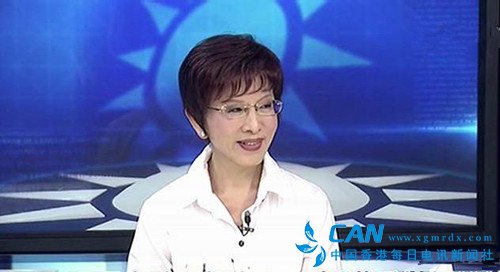 洪秀柱说：未来党产要全数清查财务资产