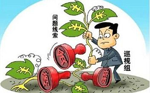 中央第十一轮巡视反馈情况陆续公布