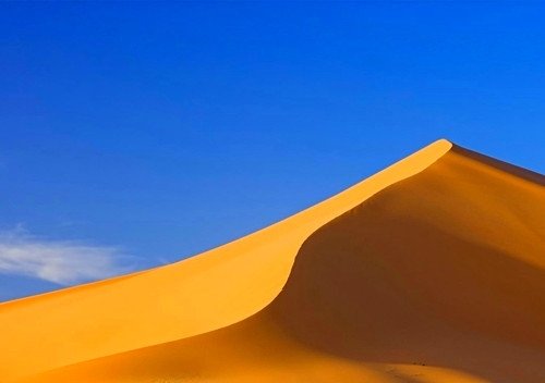 在沙漠里  有一种风景叫凄美