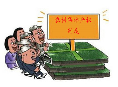 中国今年将在100个县开展农村集体产权改革试点