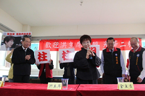 国民党洪秀柱点评台湾地区历届领导人
