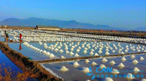柬埔寨再闹“盐荒”，中国5000吨食盐运达援助