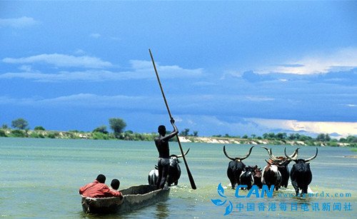 赞比亚外交部提交照会  告诉美国，收回假新闻