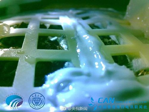 中国人在月球栽的嫩芽已死？ 这次外媒没乱说
