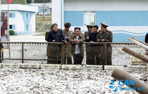 金正恩视察鱼加工厂笑容满面