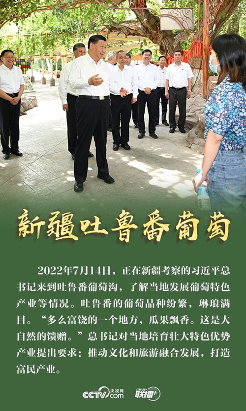 习近平总书记为这些富民产业点赞