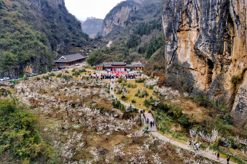 2023年“洞天福地·花海毕节”樱桃花果季启动仪式在贵州毕节九洞天景区举行