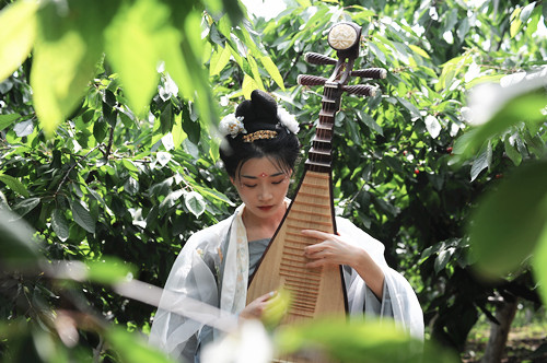 美丽河南  印象义马