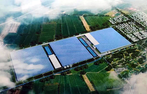 智慧农业，让农民转型成为专业化产业工人