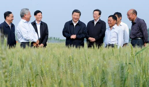 如何做好“三农”工作？总书记作出重要指示