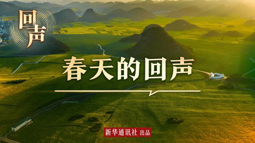 春天的回声