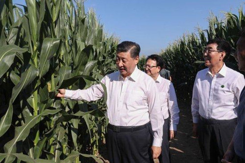 第一观察 | 习近平总书记田间地头话农事