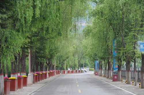 绿色家园，美丽崇信 