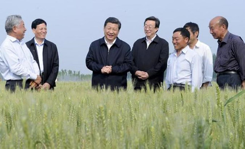 确保中国人的饭碗牢牢端在自己手中