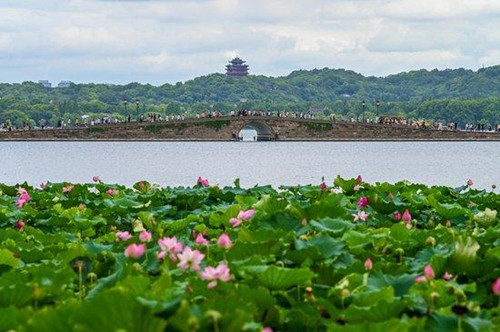 从“八项工程”感悟习近平的文化情怀     