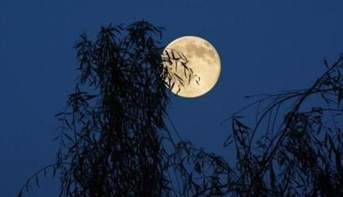 秋夜