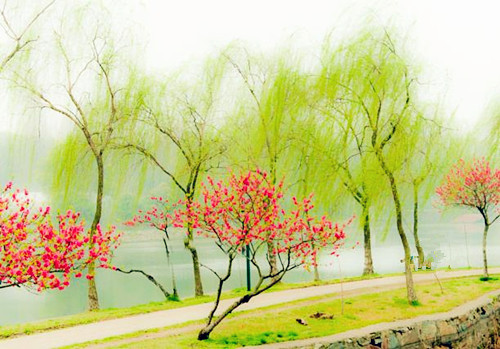 七律·早春即目