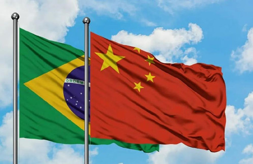 文化为桥　中巴友谊双向奔赴