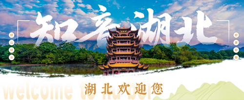 以文旅为桥，续写鄂港同心、知音同行的时代新篇