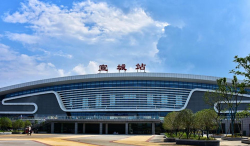 宣城：一只流浪狗与一座城的温柔奔赴
