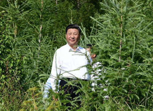 “先做学生，吃透情况” 习近平的调研之道