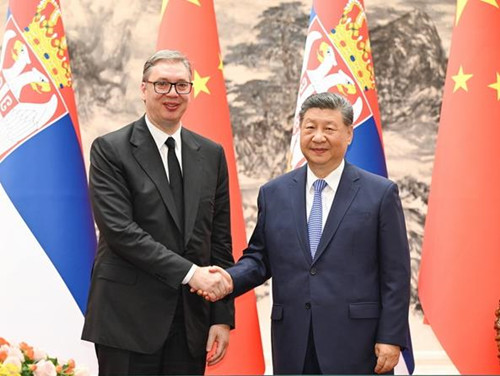 中国国家主席习近平同塞尔维亚总统武契奇会谈