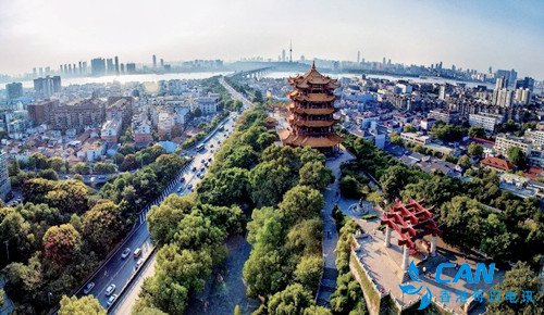 荆楚花烂漫，只待君来早