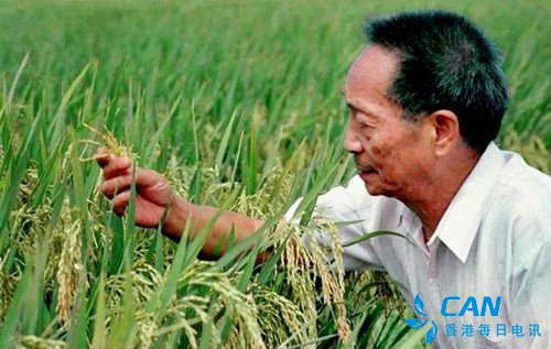 星河灿烂：他在禾下乘凉处