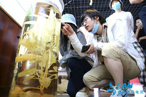 平舆县：防水产业、白芝麻推开增收致富新大门