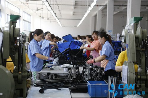 平舆县:栽下梧桐树，引得凤凰来