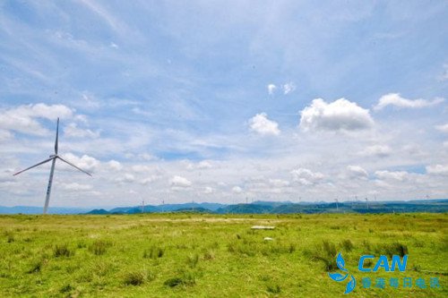 走进龙里油画大草原 漫游采风享欢乐时