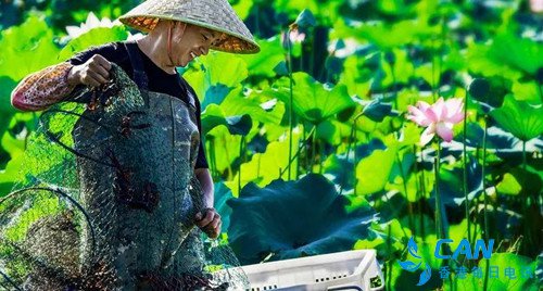 五年辉煌激荡澎湃动力，现代化新望城未来已来